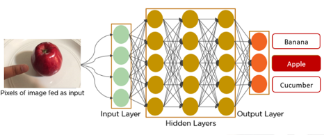 Convolution Neural Network