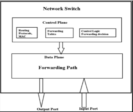 SDNs environment 
