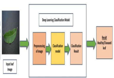 Block diagram of leaf disease classification methodology