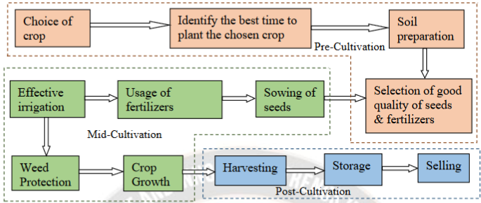 Steps in the Cultivation