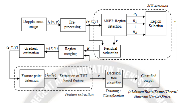 Block diagram representation of the proposedultrasound scans image classification