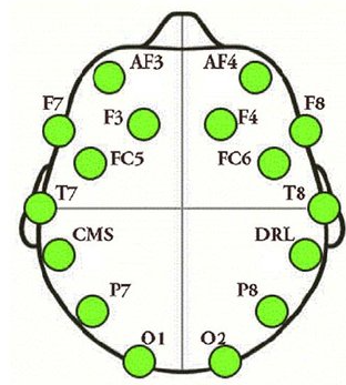Locations of sensors on the skull
