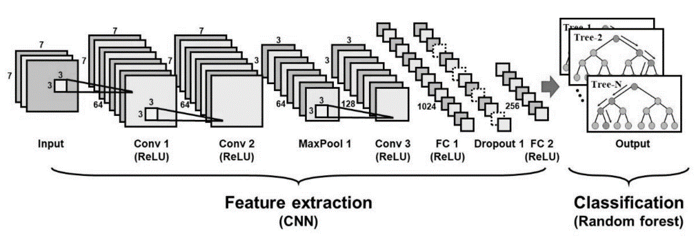Architecture for Hybrid CNN-RF Classification Model