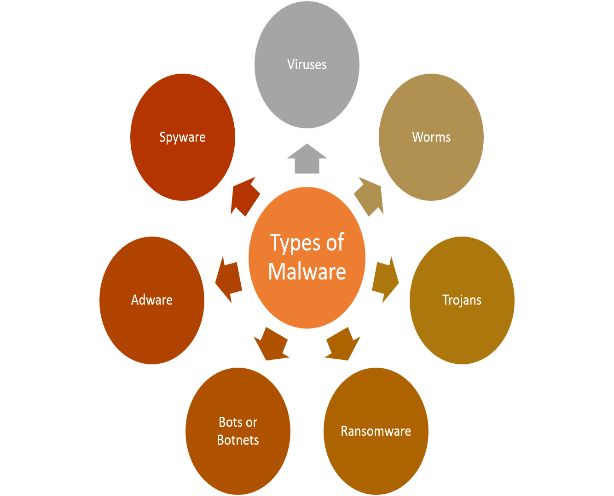 Illustrates the diverse types of malware classification. A few of the common malware are viruses, botnets, spyware as well as ransomware