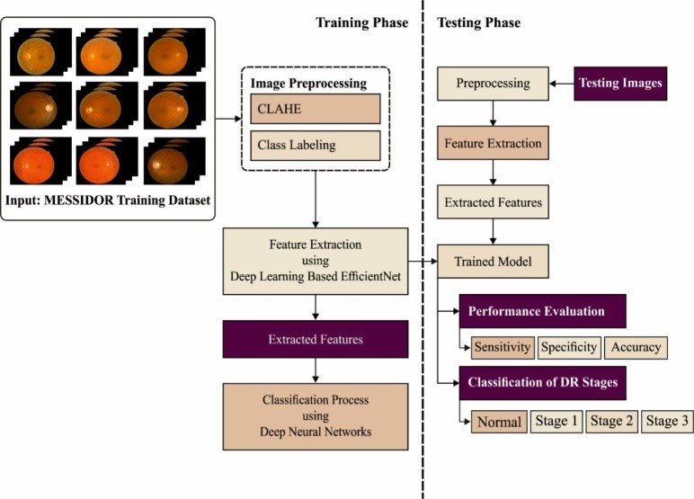 Overall working process of the DL-DRDC model